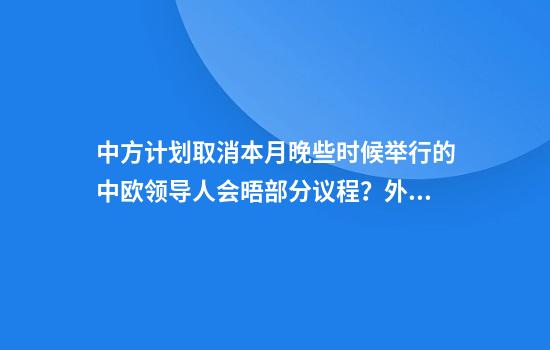 中方计划取消本月晚些时候举行的中欧领导人会晤部分议程?外交部回应