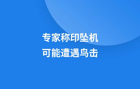 专家称印坠机可能遭遇鸟击