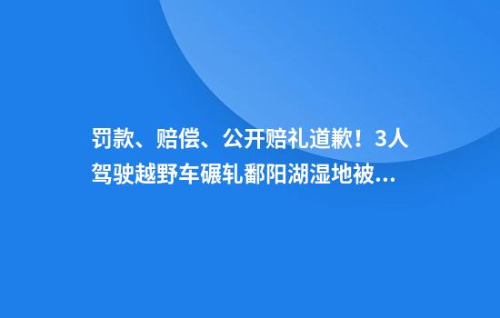 罚款、赔偿、公开赔礼道歉!3人驾驶越野车碾轧鄱阳湖湿地被处罚,系江西省首例