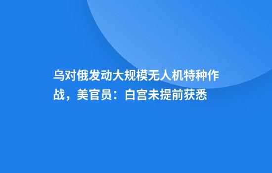 乌对俄发动大规模无人机特种作战,美官员:白宫未提前获悉