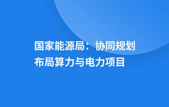 国家能源局:协同规划布局算力与电力项目