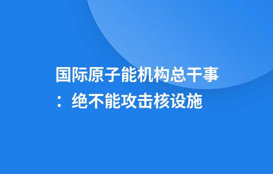 国际原子能机构总干事:绝不能攻击核设施