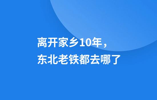 离开家乡10年,东北老铁都去哪了?