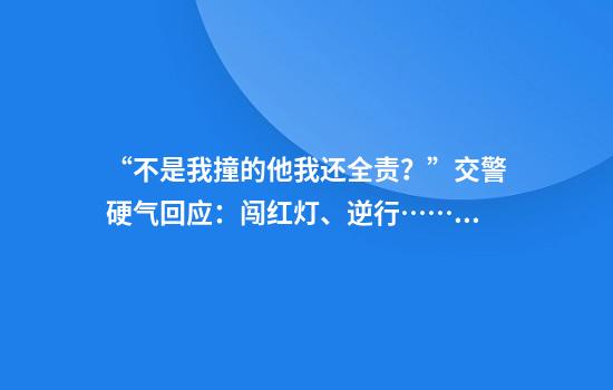 “不是我撞的他我还全责?”交警硬气回应:闯红灯、逆行……违法者全责