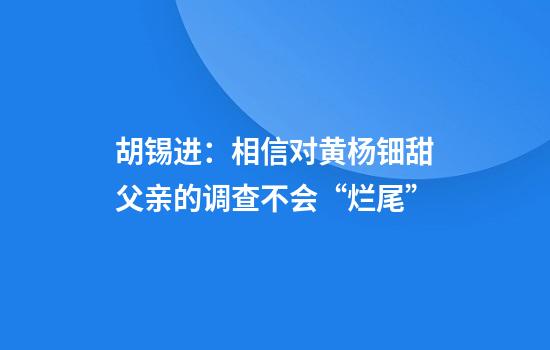 胡锡进:相信对黄杨钿甜父亲的调查不会“烂尾”