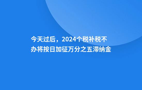 今天过后,2024个税补税不办将按日加征万分之五滞纳金