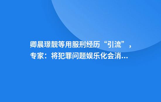 卿晨璟靓等用服刑经历“引流”,专家:将犯罪问题娱乐化会消解刑罚严肃性