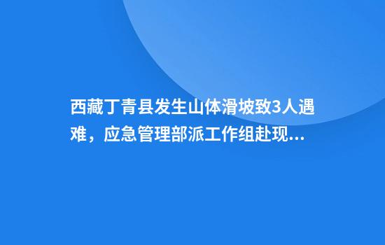 西藏丁青县发生山体滑坡致3人遇难,应急管理部派工作组赴现场指导救援