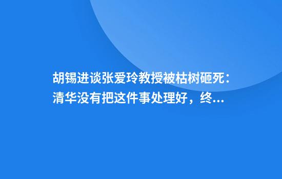 胡锡进谈张爱玲教授被枯树砸死:清华没有把这件事处理好,终酿舆情
