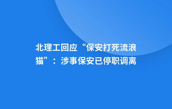 北理工回应“保安打死流浪猫”:涉事保安已停职调离