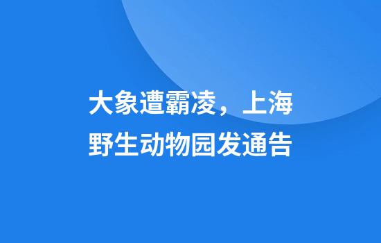 大象遭霸凌,上海野生动物园发通告