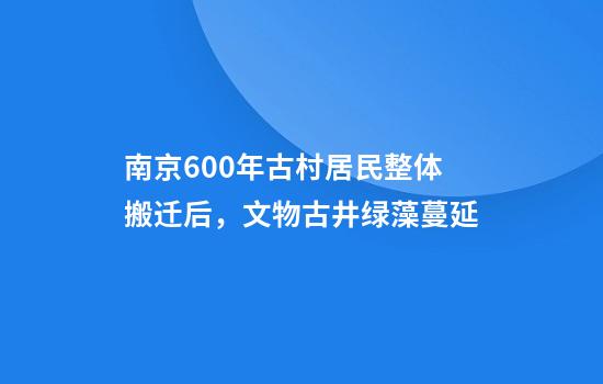 南京600年古村居民整体搬迁后,文物古井绿藻蔓延