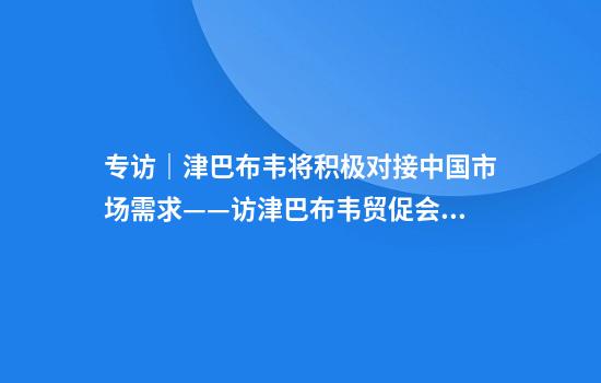 专访|津巴布韦将积极对接中国市场需求——访津巴布韦贸促会首席执行官马朱鲁