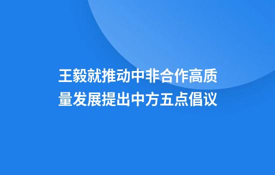 王毅就推动中非合作高质量发展提出中方五点倡议