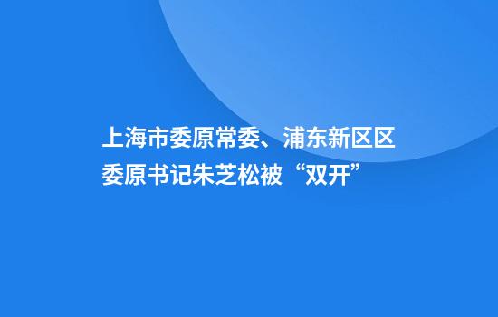 上海市委原常委、浦东新区区委原书记朱芝松被“双开”