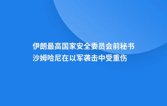 伊朗最高国家安全委员会前秘书沙姆哈尼在以军袭击中受重伤
