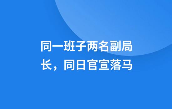 同一班子两名副局长,同日官宣落马