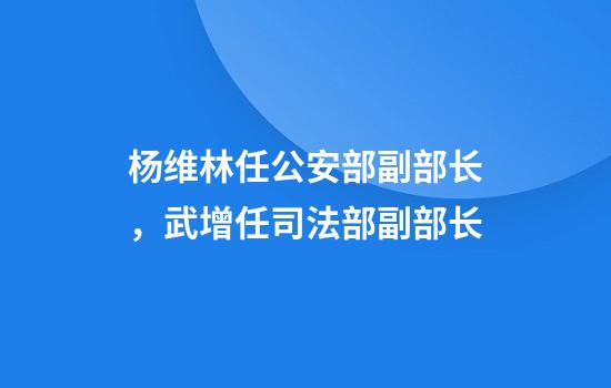 杨维林任公安部副部长，武增任司法部副部长