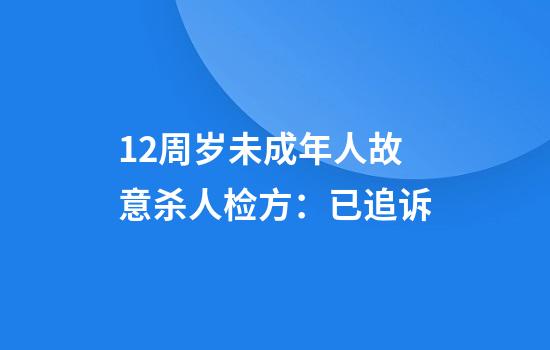 12周岁未成年人故意杀人检方:已追诉