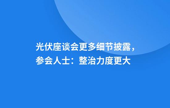 光伏座谈会更多细节披露,参会人士:整治力度更大
